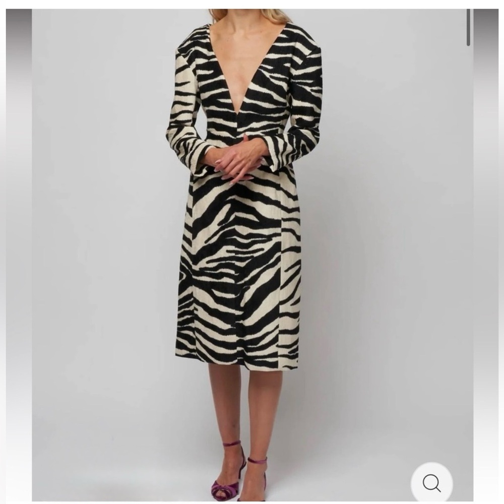 Dries Van Noten Debra Zebra Sheath Dress - Picture 4 of 9